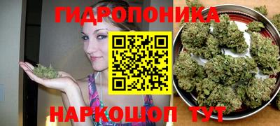 apvp Жуковский