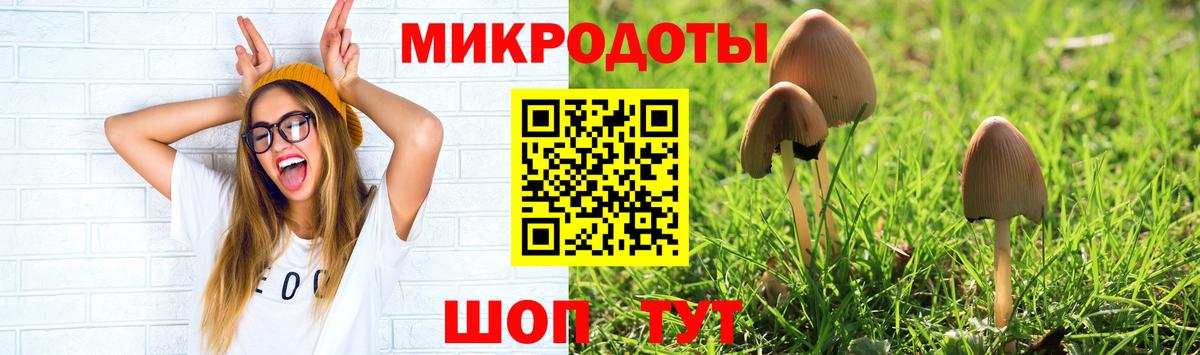 Пыть-Ях  Галлюциногенные грибы MAGIC MUSHROOMS  Вход с VPN 